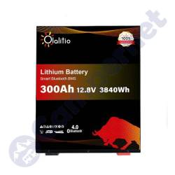 Batería 300ah LiFePo4 Olalitio