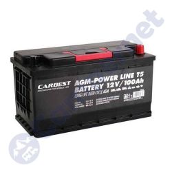 Batería AGM T5 100Ah